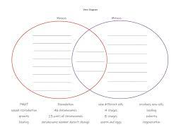 Work power and energy worksheets answers. Mitosis And Meiosis Worksheet