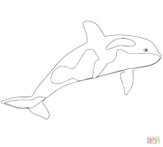Pin On Logo And Coloring Page