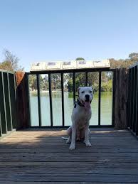 Valley animal hospital & pet resort is proud to serve the huntsville, al area for everything pet related. Mile Square Animal Hospital 53 Reviews Veterinarians 11362 Warner Ave Fountain Valley Ca Phone Number Yelp