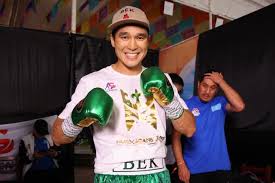 Fightmag - News update