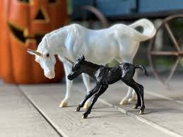 Image result for Thesium breyeri