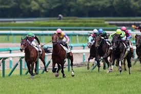 2戦目の条件戦から北村 宏 司に乗り替わって勝利し、続けて皐月賞 トライアルのスプリングsに出走。 このレースには共同通信杯を制したリアルスティール、2歳王者ダノンプラチナといった人気 馬も出走していたため、5番人気と地味な評価に甘んじ. äº¬çŽ‹æ¯ã‚¹ãƒ—ãƒªãƒ³ã‚°ã‚«ãƒƒãƒ—2019äºˆæƒ³ å‡ºèµ°äºˆå®šé¦¬åˆ†æž é˜ªæ€¥æ¯ã§å¾©æ´»ã‚'é‚ã'ãŸã‚¹ãƒžãƒ¼ãƒˆã‚ªãƒ¼ãƒ‡ã‚£ãƒ³ãŒäººæ°—ã®ä¸­å¿ƒ æ³¨ç›®ã¯æ±äº¬èŠ1400mã§å¥½çµæžœæ®‹ã™ã‚¢ãƒŽäººæ°—è–„ ãƒ¬ãƒƒãƒ‰ã‚¢ã‚¿ãƒƒã‚¯ã®ç«¶é¦¬äºˆæƒ³ãƒ–ãƒ­ã‚°