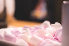If you've been treating yourself to a couple of marshmallows and your cat is close by, you might have thought about this the short answer is no, cats can't safely eat marshmallows. Can Cats Eat Marshmallows Facts You Need To Know