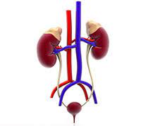يساعد على علاج عدوى الجلد. Ø£Ø²ÙŠØ«Ø±ÙˆÙ…Ø§ÙŠØ³ÙŠÙ† Ø§Ù„Ø§Ø³ØªØ®Ø¯Ø§Ù…Ø§Øª ÙˆØ£Ø¨Ø±Ø² Ø§Ù„Ù…Ø­Ø§Ø°ÙŠØ± ÙˆÙŠØ¨ Ø·Ø¨