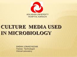 Culture Media Used In Microbiology