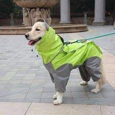 big dog raincoat hayvan giysileri kopek hayvan