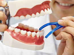 Americantrucks is powered and run by enthusiasts just like yourself. Glossary Of Orthodontics Terms Orthodontist In Fairwood Mercer Island Wa