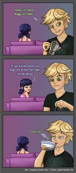 Pin By Awkward Thespian Fangirl On Miraculous Comic Miraculous Ladybug Miraculous Ladybug Funny Miraculous Ladybug Comic