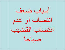 اسباب عدم الانتصاب عند الرجال في الفترة الصباحية والعلاج بالغذاء Math Blog Blog Posts