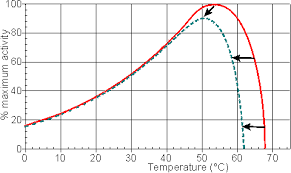 Effect Of Temperature And Pressure On Enzyme Activity