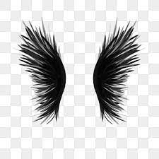 Beautiful Black Wings Free Png Transparent Layer Material Hand Drawn Wings Domineering Wings Pictures Angel Feather Wings Png Transparent Clipart Image And P Angel Feathers How To Draw Hands Angel Wings