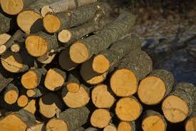A thorough understanding of how to distinguish hardwoods from softwoods, is essential as you make your choices for the next project. Seasoned Vs Unseasoned Firewood What S The Difference