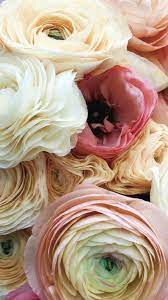And canada on orders placed as late as 2 p.m.* in the recipient's time zone monday through friday (earlier times may apply to some. Flowers Near Me In 2021 Order Flowers Online Order Flowers Flower Centerpieces