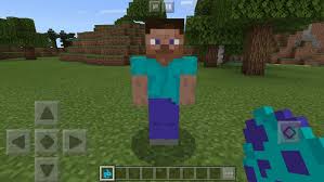 To get player heads on the newest version of minecraft you can simply use the command /give @p minecraft:player_head{skullowner:playernamehere} but for older versions of minecraft you need to use a command block. Steve Add On Minecraft Pe Mods Addons