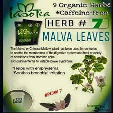 Pin On Iaso Tea