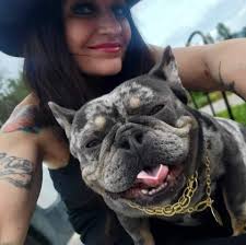 Deanna Freeman (@speakeasy.french.bulldogs) • Instagram photos and videos