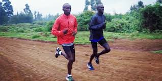 Kenya's eliud kipchoge has been dominating the world marathon stage since winning the chicago marathon in 2014. Eliud Kipchoge Training A Typical Thursday