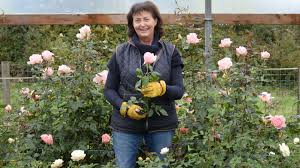 We did not find results for: From Bust To Blooms And A Vie En Rose In North County Dublin