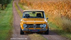Image result for Giallo 1964 Alfa-Romeo