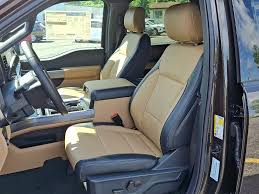 Image result for Brown 2025 Ford