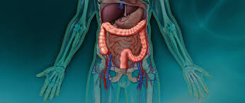 Vu que je fais des baisses de potassium je buvais bcp de sainte yorre et c'est cette eau diagnostic : Colopathie Fonctionnelle Qu Est Ce Que Je Ressens Fiches Sante Et Conseils Medicaux
