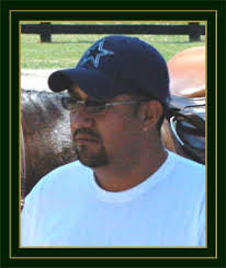 Warmblood Horses for Sale