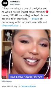 Lizzo and her Man Myke Wright who is also a Musician. They have been  together since 2021. They built a strong friendship before they started  dating. Lizzo says he is everything and