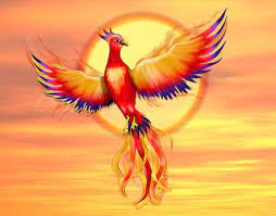 Phoenix bird in fire in the national park Auch Als Firebird Bekannt Ein Symbol Fur Wiedergeburt Und Neuanfang Kunst Zeigt Den Phonix Hoch Am Himmel Mit Leuchtendem Orange Grafik T Shirt Von Spicetree Real Phoenix Bird Phoenix Bird Phoenix Rising