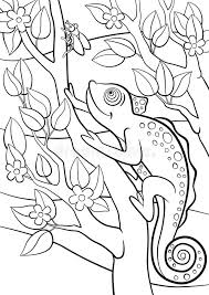 Little cute chameleon sits on the. Coloring Pages Wild Animals Little Cute Chameleon Stock Illustration Illustration Of Line Camouflage 72425003