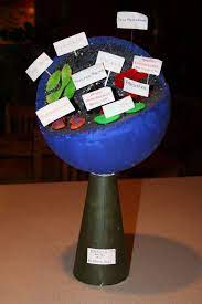 Animal cell foam ball project. Cell Model Made Out Of Styrofoam Ball Animal Cell Styrofoam Ball Project How Make Animal Cell Project Cell Model Project Cells Project