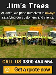 We did not find results for: Jim S Tree Removal And Stump Grinding