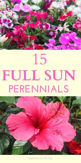 We did not find results for: Pin On Flower Garden Growing Tips