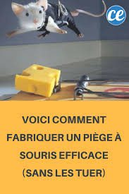 Voici Comment Fabriquer Un Piege A Souris Efficace Sans Les Tuer Pieges A Souris Comment Fabriquer Un Souris