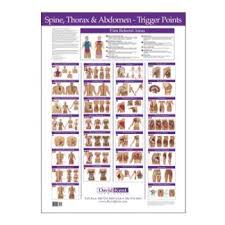 Kent Trigger Point Spine Thorax Abdomen Chart