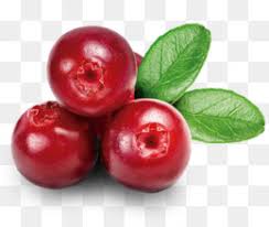 Cranberry Png Cranberry Sauce Cranberry Watercolor Cranberry Wreath Cranberry Water Cartoon Cranberry Cranberry Vine Cranberry Bog Cranberry Red Cleanpng Kisspng Border png cliparts, all these png images has no background, free & unlimited downloads. cranberry png cranberry sauce