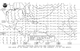 weather charts on the net