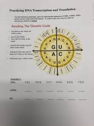 solved practicing dna transcription and translation for t