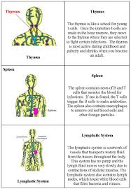 Immune System Memory Game Center For Nanoscale Science