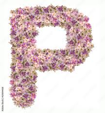 Machine embroidery designs at embroidery library! Letter P Alphabet With Zinnia Flower Abc Concept Type As Logo Typography Design Stock Photo Adobe Stock