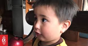 An apple harvest no one will ever forget