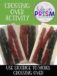 This Activity Looks At The Important Process Of Crossing Over During Prophase I Of Meiosis Students Manipulate Pieces Meiosis Meiosis Activity Biology Lessons