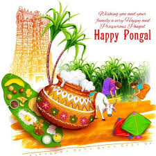 Happy Makar Sankranti 2020 Images Quotes Wallpapers Download Happy Pongal Wishes Happy Pongal Happy Sankranti Check out inspiring examples of pongal2019 artwork on deviantart, and get inspired by our community of talented artists.