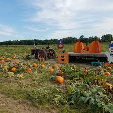 Check spelling or type a new query. Lendt 8217 S Pumpkin Patch Minnesota Grown