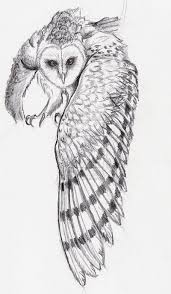 Check spelling or type a new query. Interest Tattoo Ideas And Design Barn Owl In Flight Tattoo Sketch Photo 5 If You Want To Make A Tattoo L Owl Tattoo Drawings Barn Owl Tattoo Owls Drawing