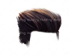 Download Hairstyle Background Png Image With Transparent Background Its From Hair Category It About Hair Png Enjoy Hair Png Download Hair Hair To One Side