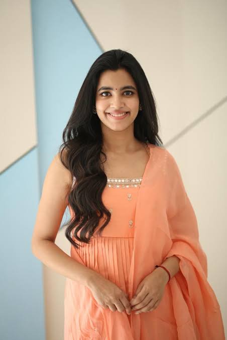 Hey Balwanth” will fully entertain the audience: Heroine Shivani Nagaram - “Hey Balwanth” Heroine Shivani NagaramIndustryHit.Com