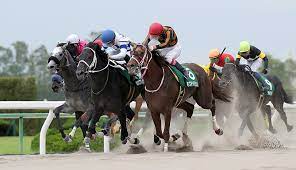 Google has many special features to help you find exactly what you're looking for. å¹³å®‰ã‚¹ãƒ†ãƒ¼ã‚¯ã‚¹2020 å‡ºèµ°äºˆå®šé¦¬ äºˆæƒ³ã‚ªãƒƒã‚º äººæ°—é¦¬è¦‹è§£ ï½†å¼ç«¶é¦¬