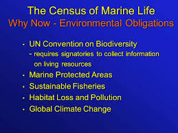 We are scientists, students and others interested in zooplankton from around the world who are working toward a taxonomically comprehensive assessment of biodiversity of animal plankton throughout the world ocean, a field project of the census of marine life (see www.coml.org). The Census Of Marine Life Ocean Day 11 June Ppt Download