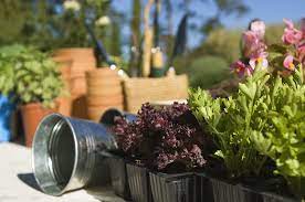 Whether enjoying morning coffee or lingering over family meals, schuler's products enrich the moments that matter most. Free Gardening Kits Available At Lowes This April