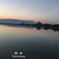 pin on جلنار صور
